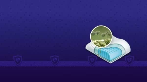 رشد قارچ و باکتری در تشک