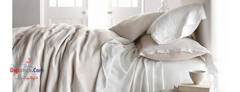 روتختی لنین